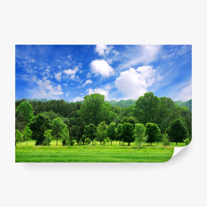 Natur – Wallnifity®