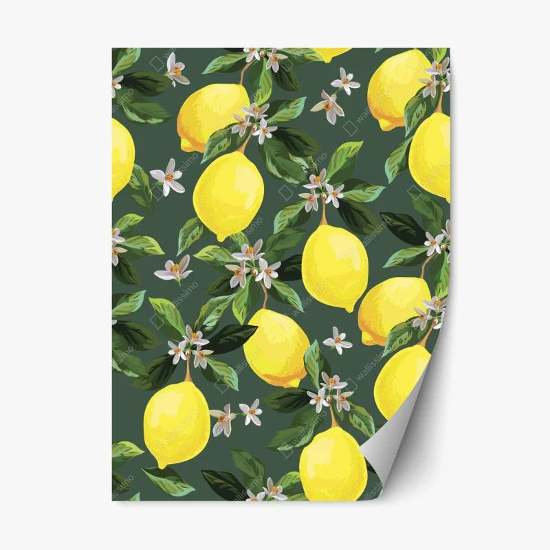 Boho – Wallnifity®
