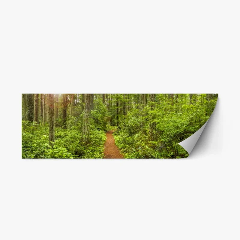 Wälder – Wallnifity®