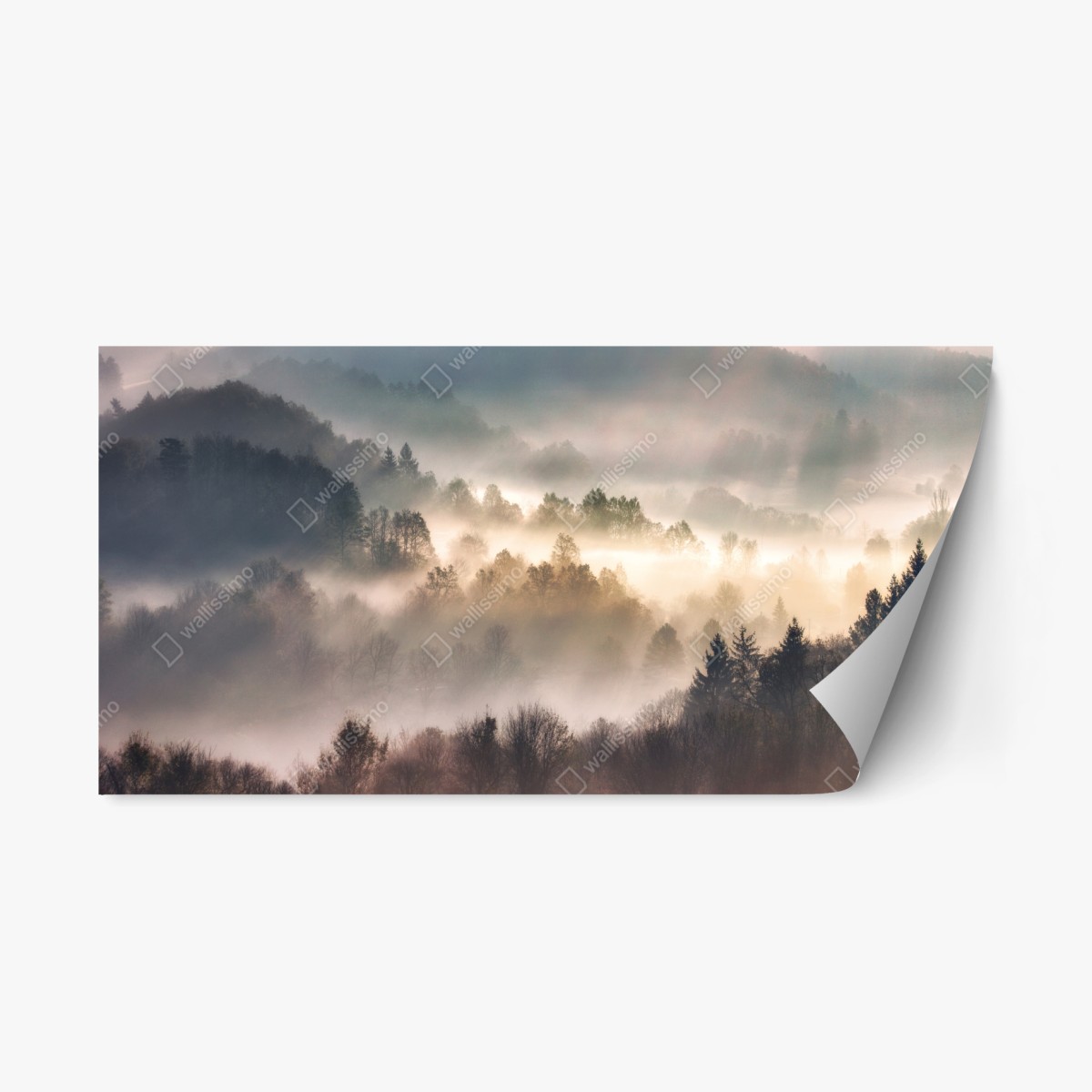 Repositionierbarer Aufkleber nebliger wald im morgengrauen – Wallnifity®