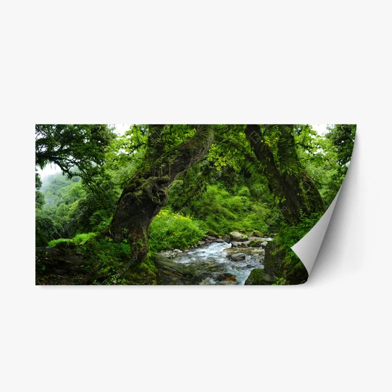 Repositionierbarer Aufkleber moosiger waldbach panorama – Wallnifity® Repositionierbarer Aufkleber moosiger waldbach panorama – Wallnifity®