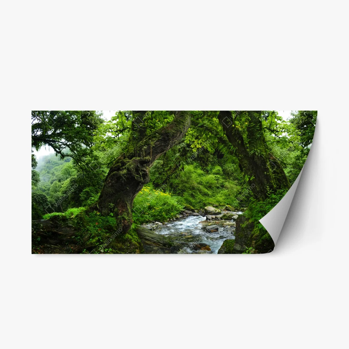 Repositionierbarer Aufkleber moosiger waldbach panorama – Wallnifity® Repositionierbarer Aufkleber moosiger waldbach panorama – Wallnifity®
