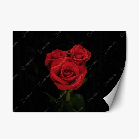 Repositionierbarer Aufkleber rote rosen vor schwarzem hintergrund – Wallnifity®