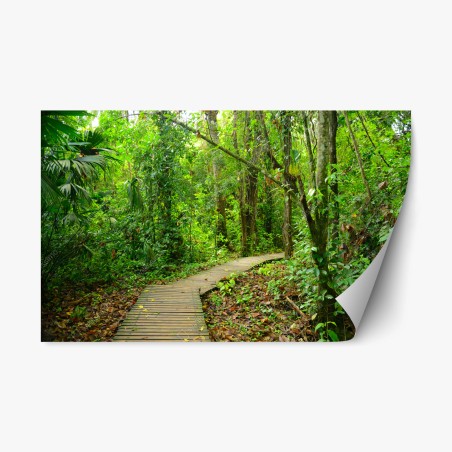 Repositionierbarer Aufkleber tropischer steg im üppigen wald – Wallnifity®