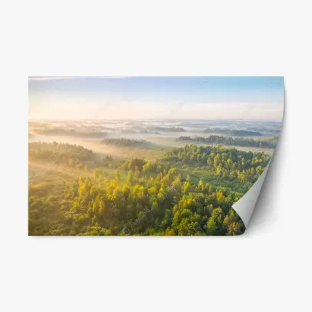 Repositionierbarer Aufkleber nebliger morgen im sumpf von Zvanets – Wallnifity®