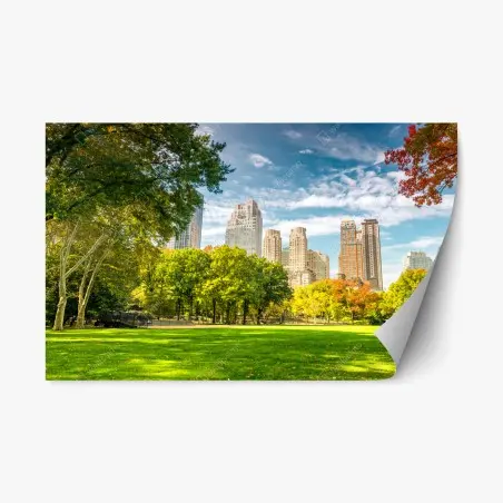 Repositionierbarer Aufkleber Central Park herbst panorama – Wallnifity®