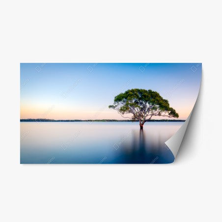 Repositionierbarer Aufkleber einsamer baum am stillen see – Wallnifity®
