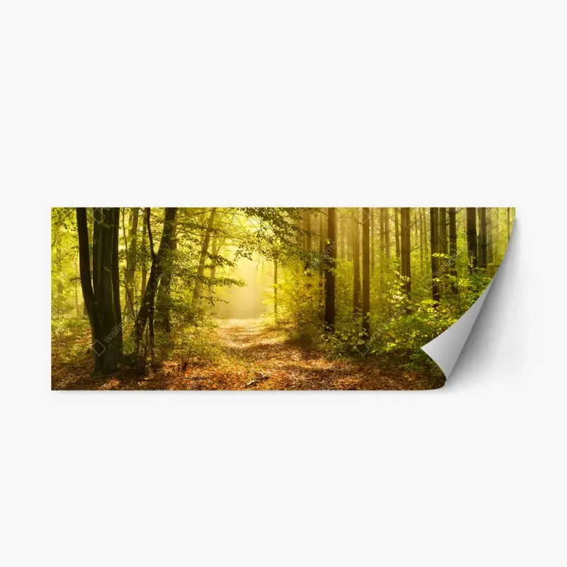 Repositionierbarer Aufkleber sonnenbeschienener waldweg im herbst