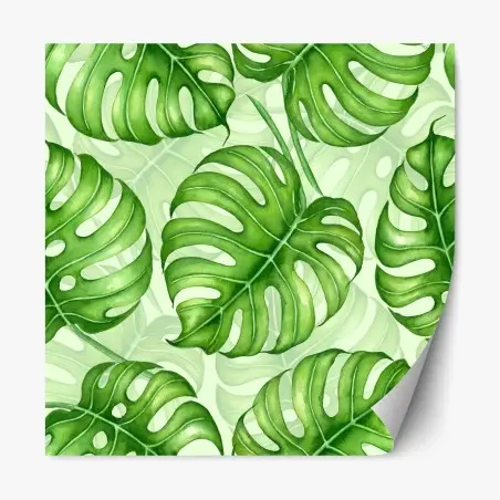 Repositionierbarer Aufkleber aquarell monstera blättermuster – Wallnifity®