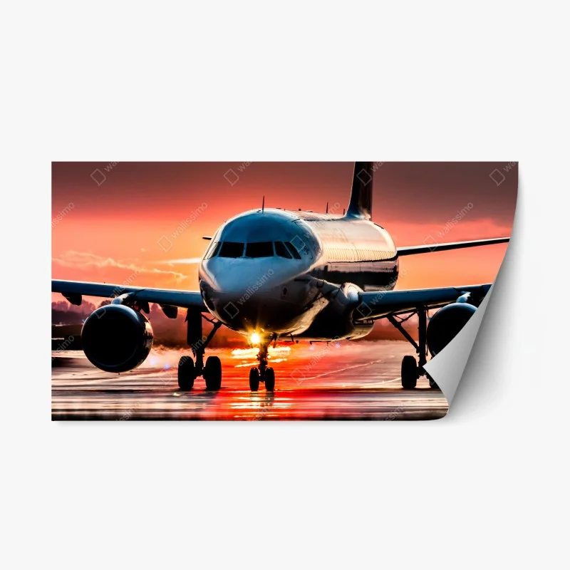Fahrzeuge – Wallnifity®