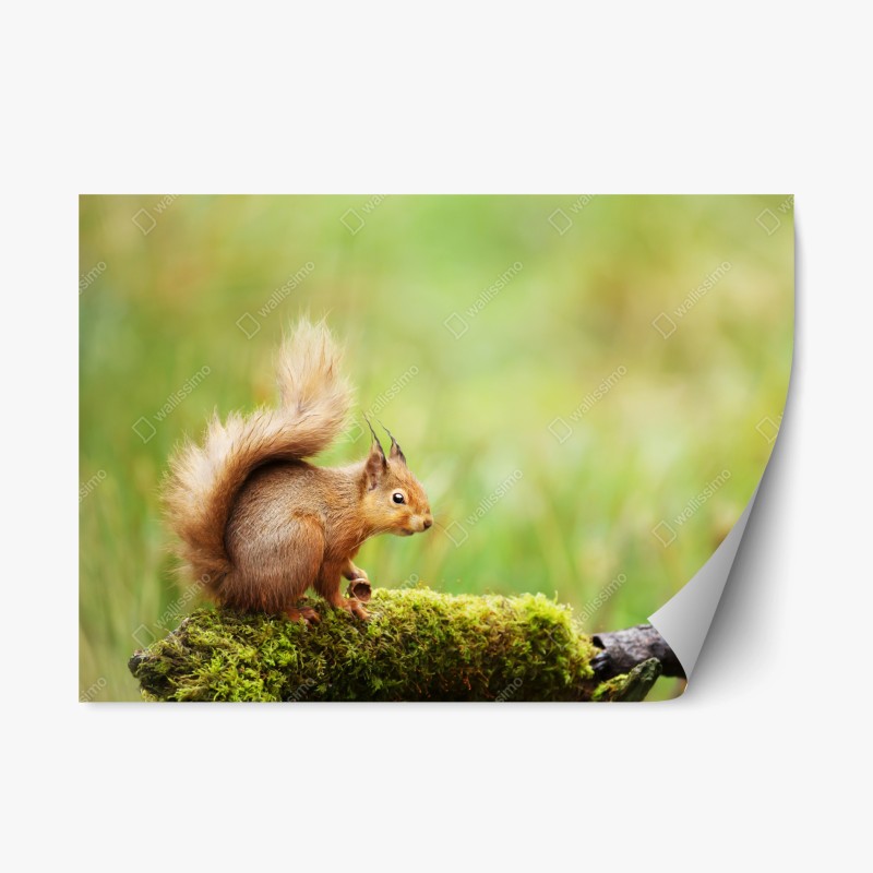Wohnzimmer – Wallnifity®