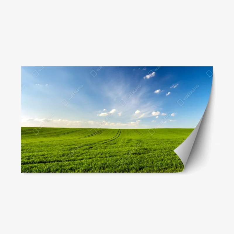 Landschaften – Wallnifity®
