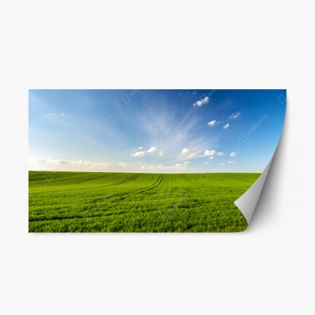 Repositionierbarer Aufkleber frühlingsgrüne wiesenpanorama – Wallnifity®