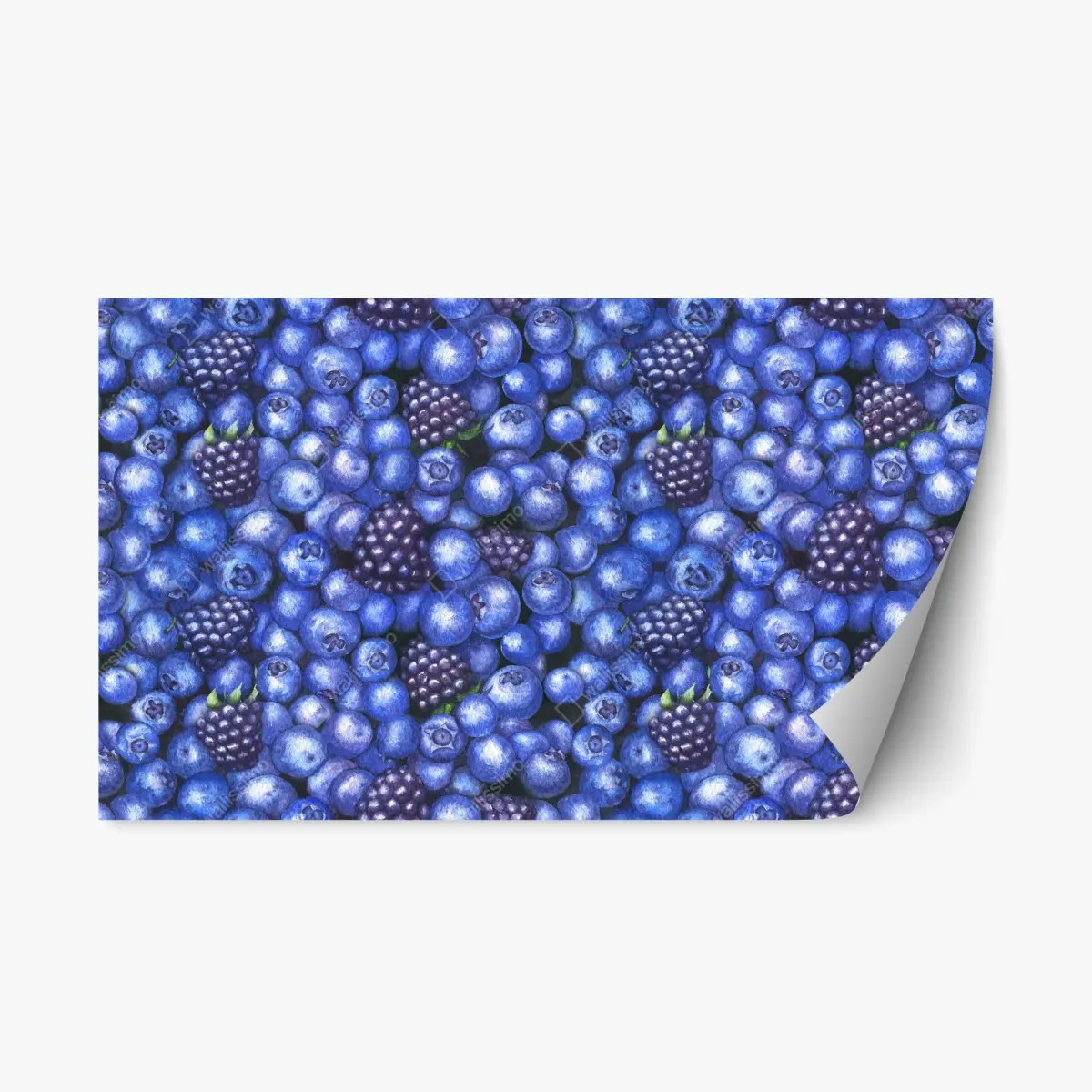 Repositionierbarer Aufkleber aquarellmuster mit blaubeeren und brombeeren – Wallnifity®