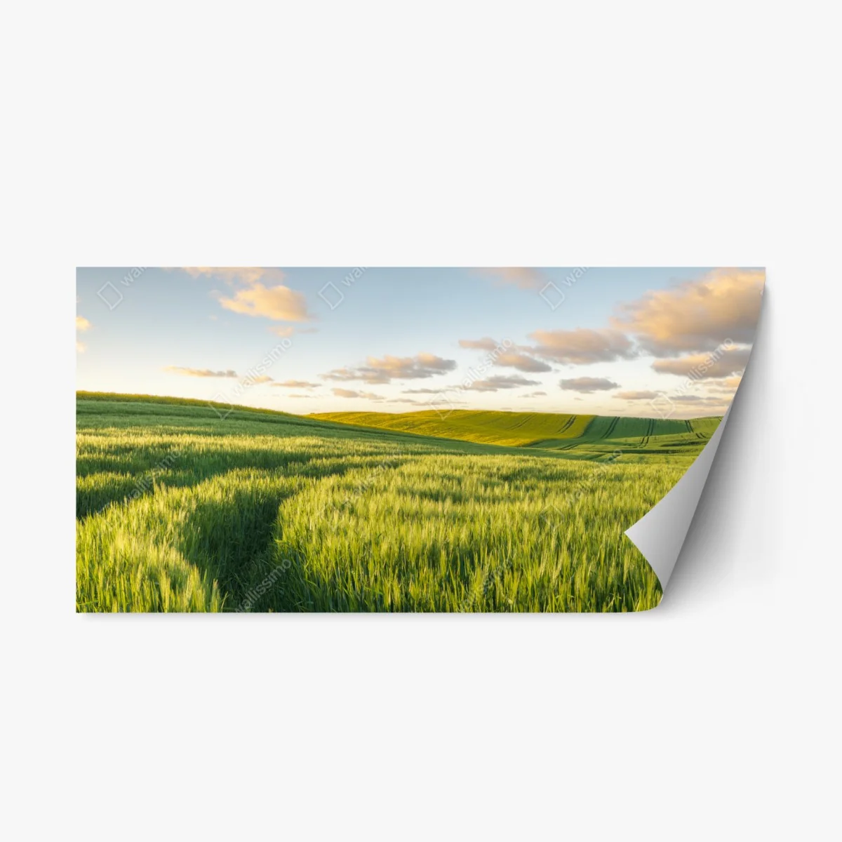 Repositionierbarer Aufkleber ruhige grüne wiesen panorama – Wallnifity® Repositionierbarer Aufkleber ruhige grüne wiesen panorama – Wallnifity®