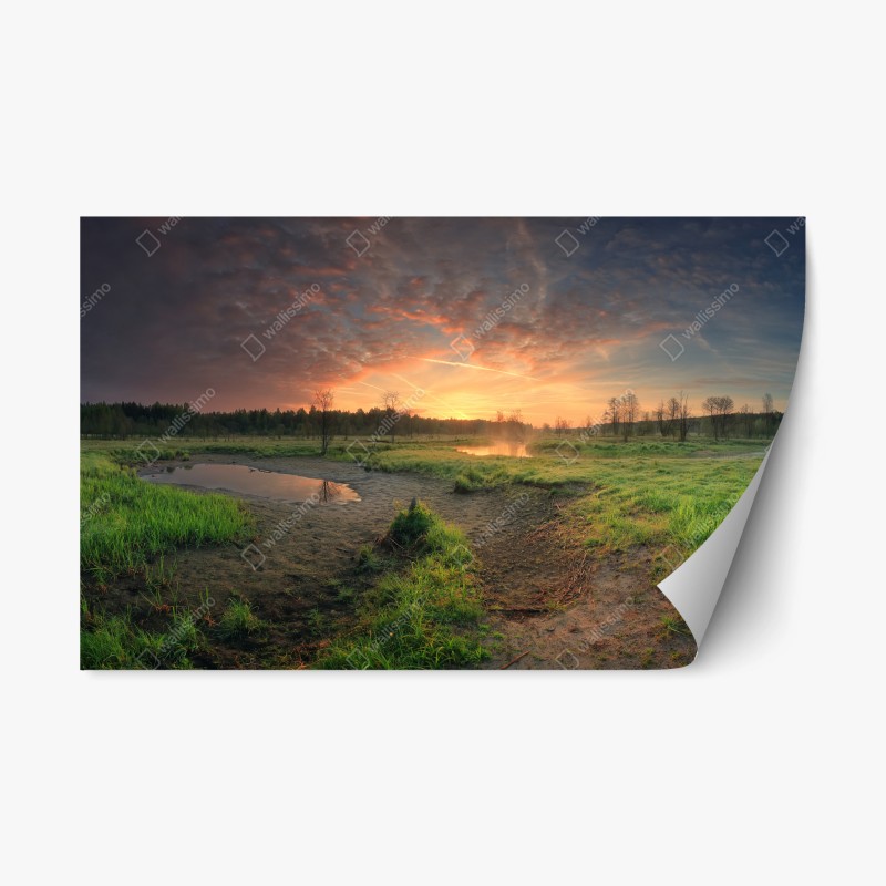 Wohnzimmer – Wallnifity®