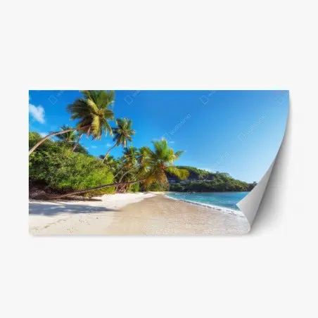 Repositionierbarer Aufkleber tropischer palmstrand – Wallnifity®