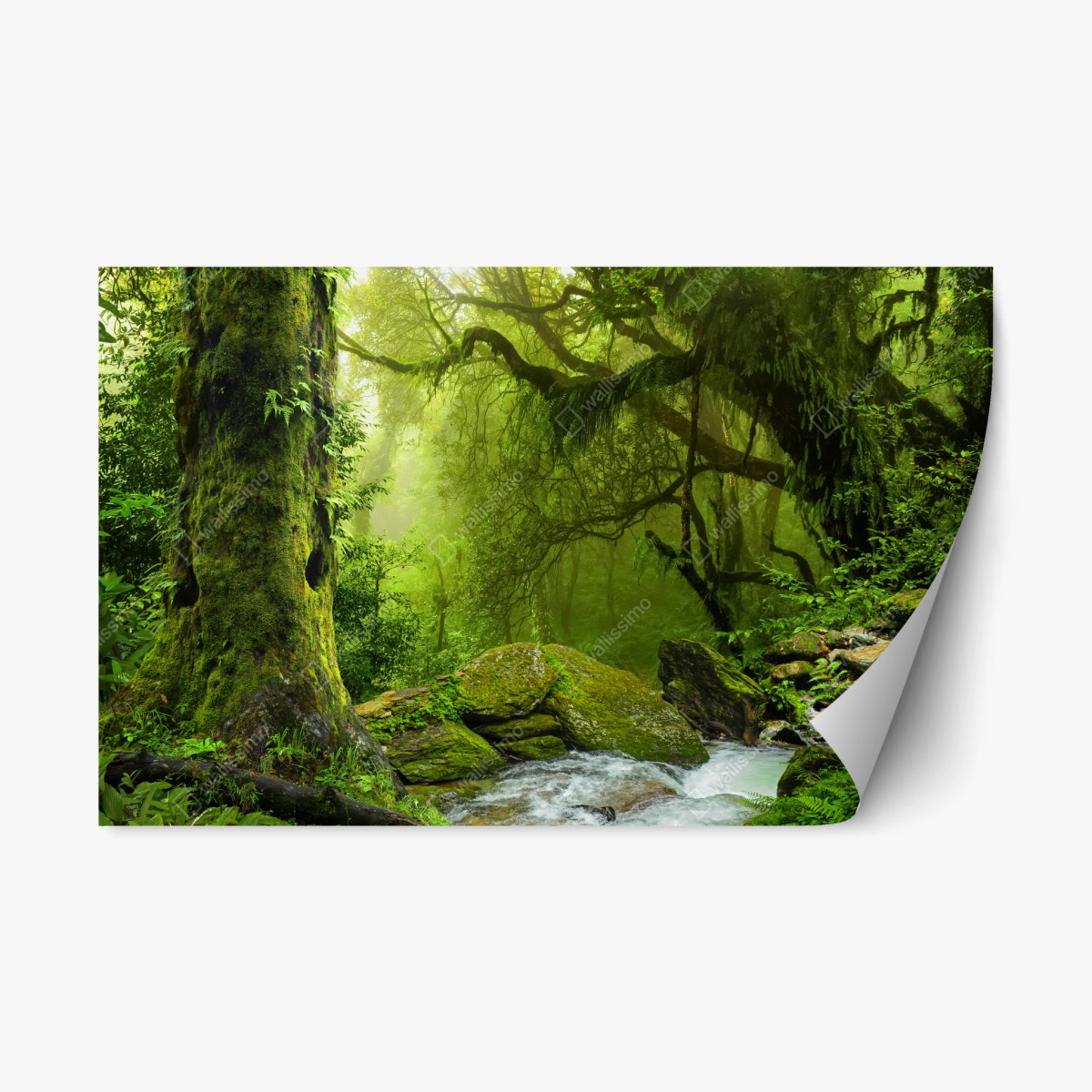 Repositionierbarer Aufkleber verzauberter grüner waldbach – Wallnifity®