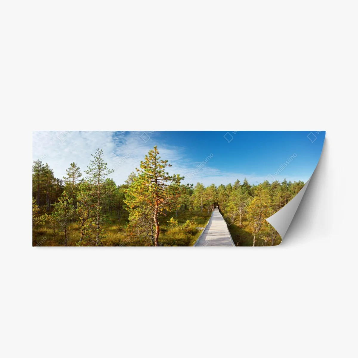 Repositionierbarer Aufkleber sonniger steg durch den kiefernwald – Wallnifity® Repositionierbarer Aufkleber sonniger steg durch den kiefernwald – Wallnifity®