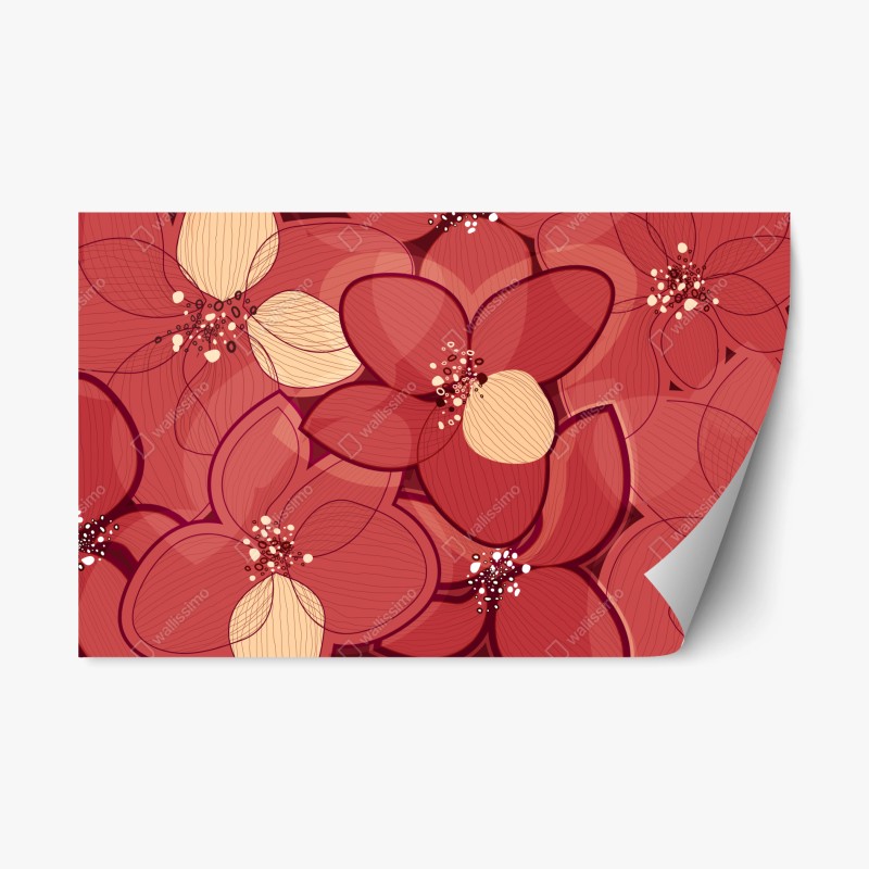 Boho – Wallnifity®