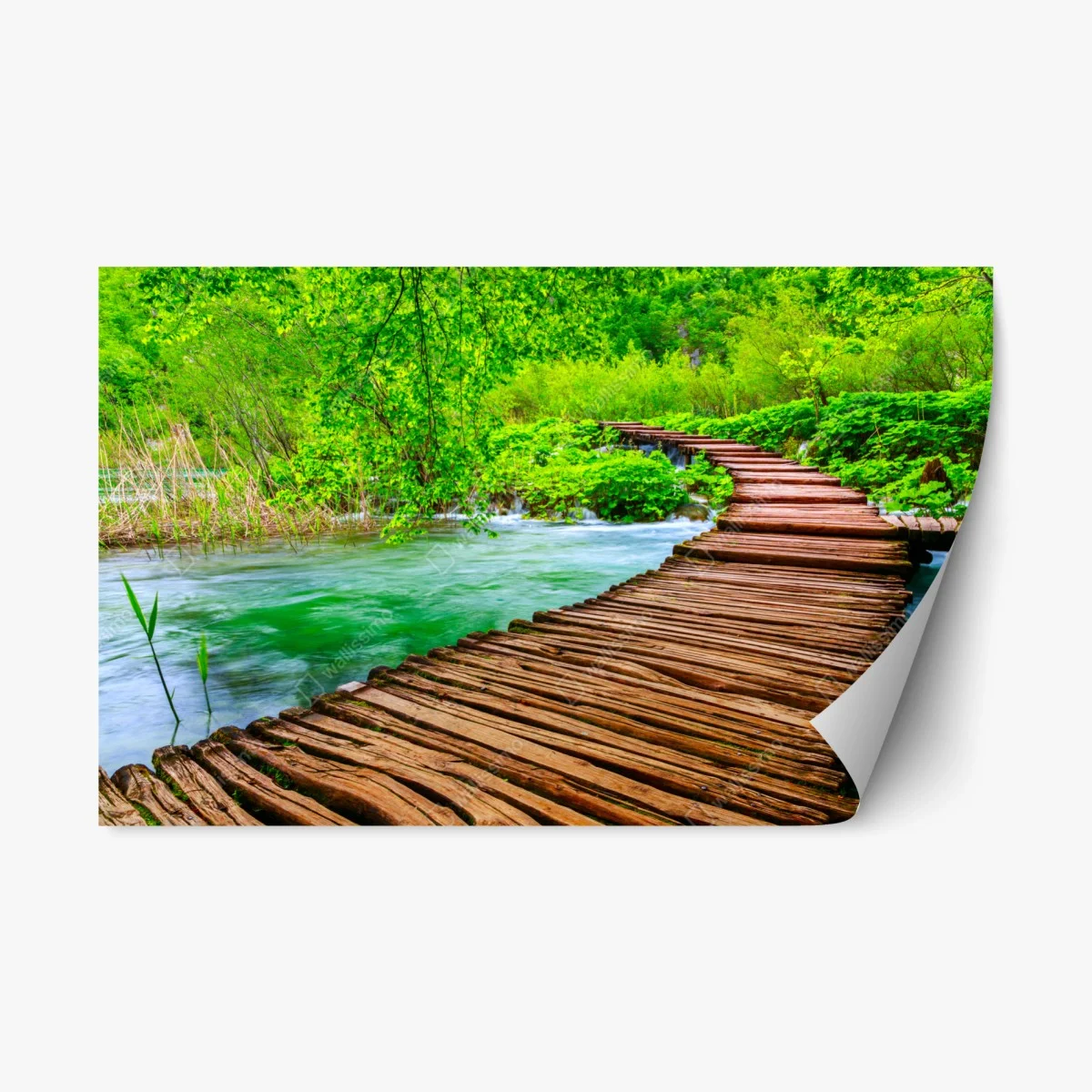 Repositionierbarer Aufkleber ruhiger grüner steg über dem fluss – Wallnifity® Repositionierbarer Aufkleber ruhiger grüner steg über dem fluss – Wallnifity®