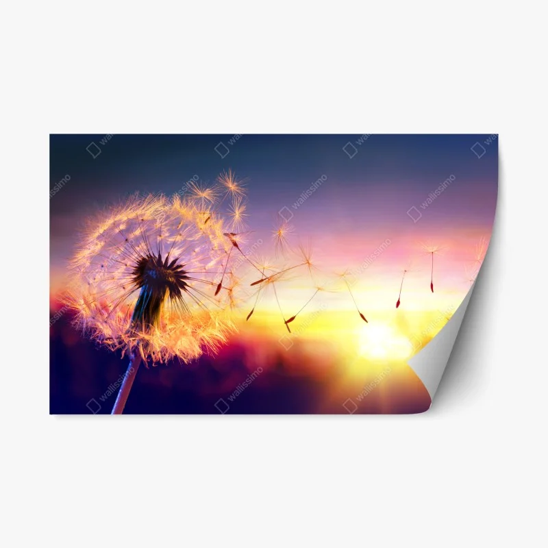 Schlafzimmer – Wallnifity®