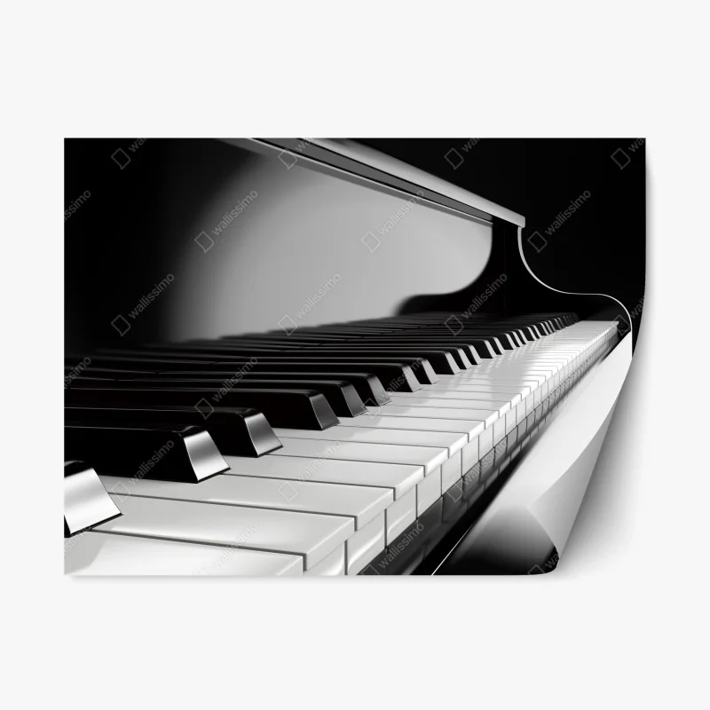 Kultur und Unterhaltung – Wallnifity®