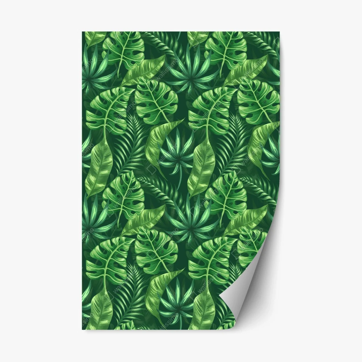 Repositionierbarer Aufkleber tropisches monstera blattmuster – Wallnifity® Repositionierbarer Aufkleber tropisches monstera blattmuster – Wallnifity®