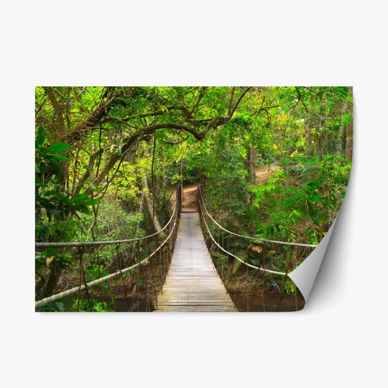 Wälder – Wallnifity®
