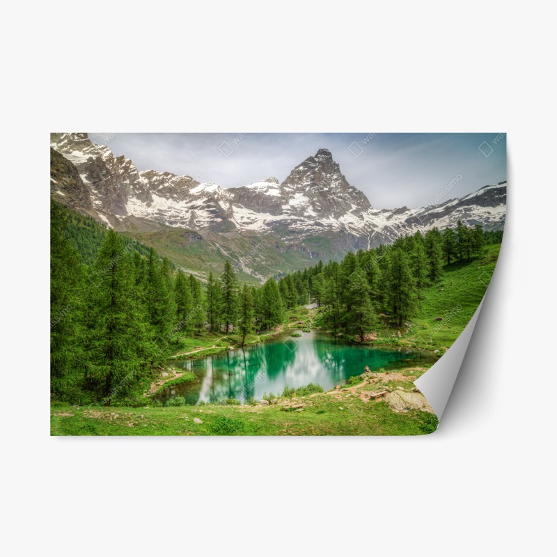 Wohnzimmer – Wallnifity®