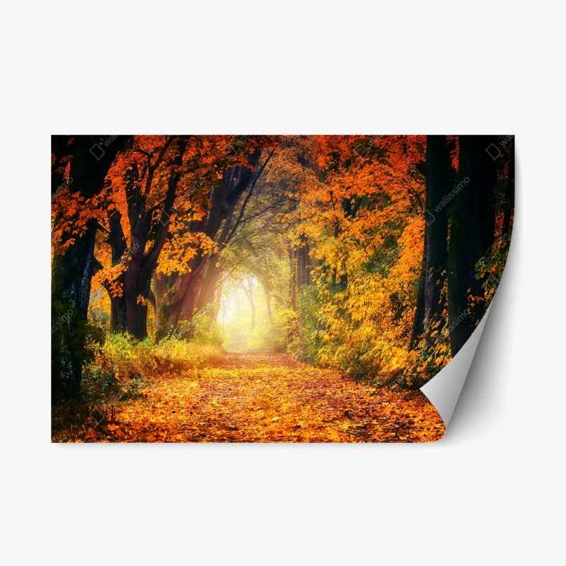 Natur – Wallnifity®