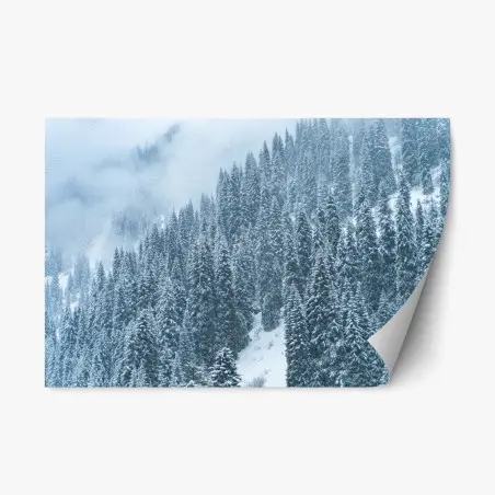 Repositionierbarer Aufkleber nebeliger schneebedeckter kiefernwald – Wallnifity®