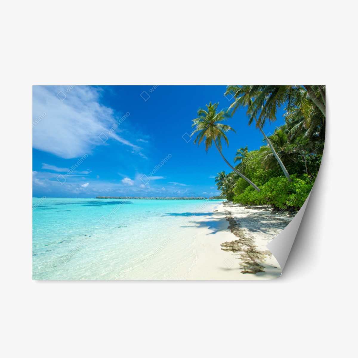 Repositionierbarer Aufkleber tropischer strand auf den Malediven – Wallnifity®