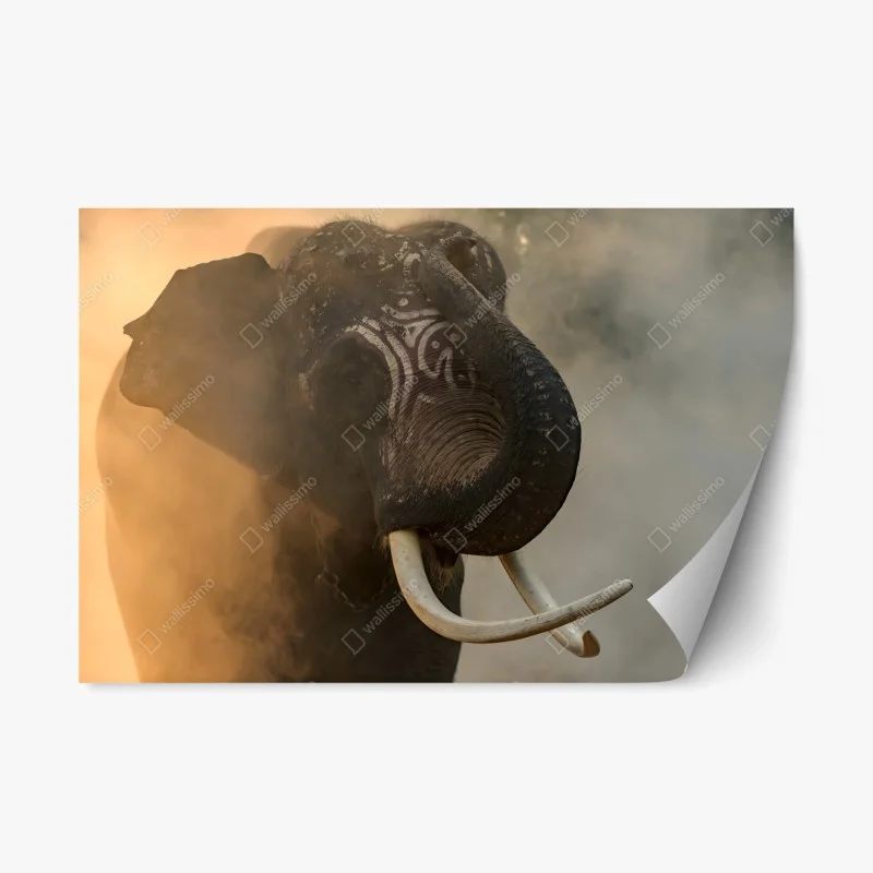 Orientalisch – Wallnifity®