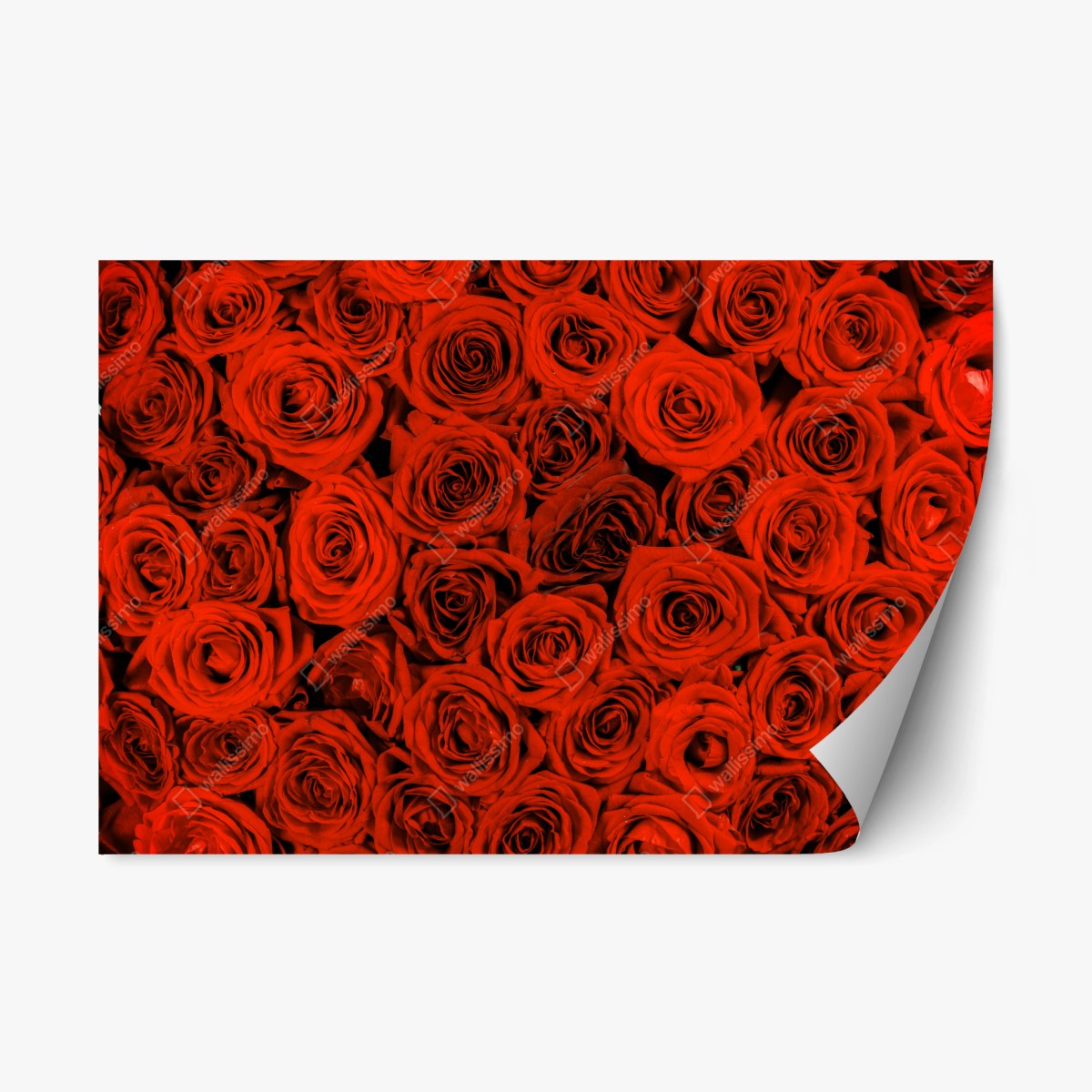 Repositionierbarer Aufkleber prächtiger strauß roter rosen – Wallnifity®