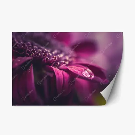 Repositionierbarer Aufkleber lila makroblüte mit tautropfen – Wallnifity®