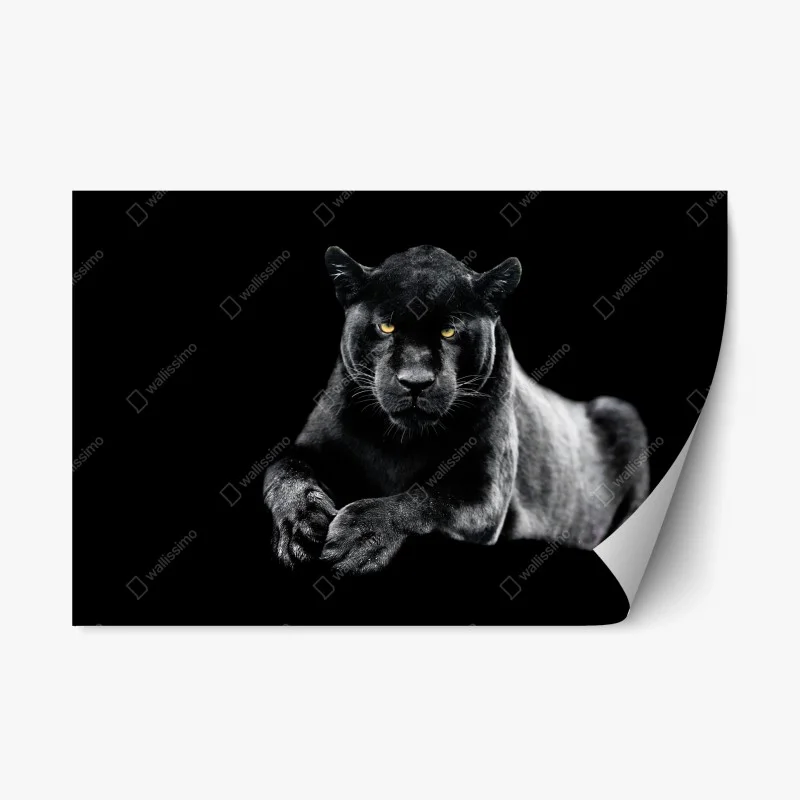 Tiere – Wallnifity®