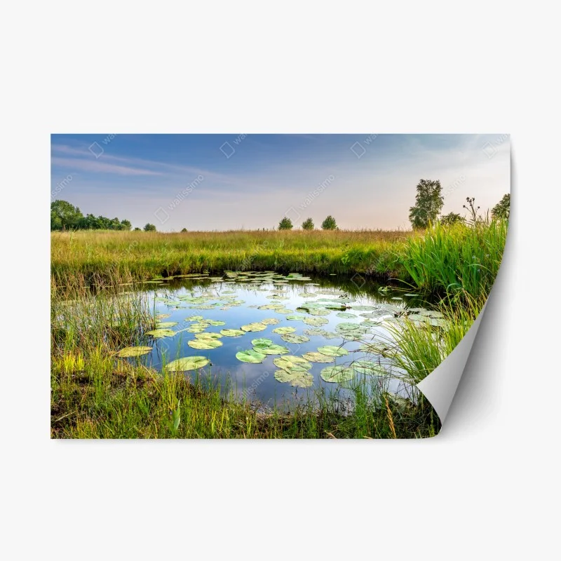 Repositionierbarer Aufkleber ruhiger seerosen-teich in der wiese