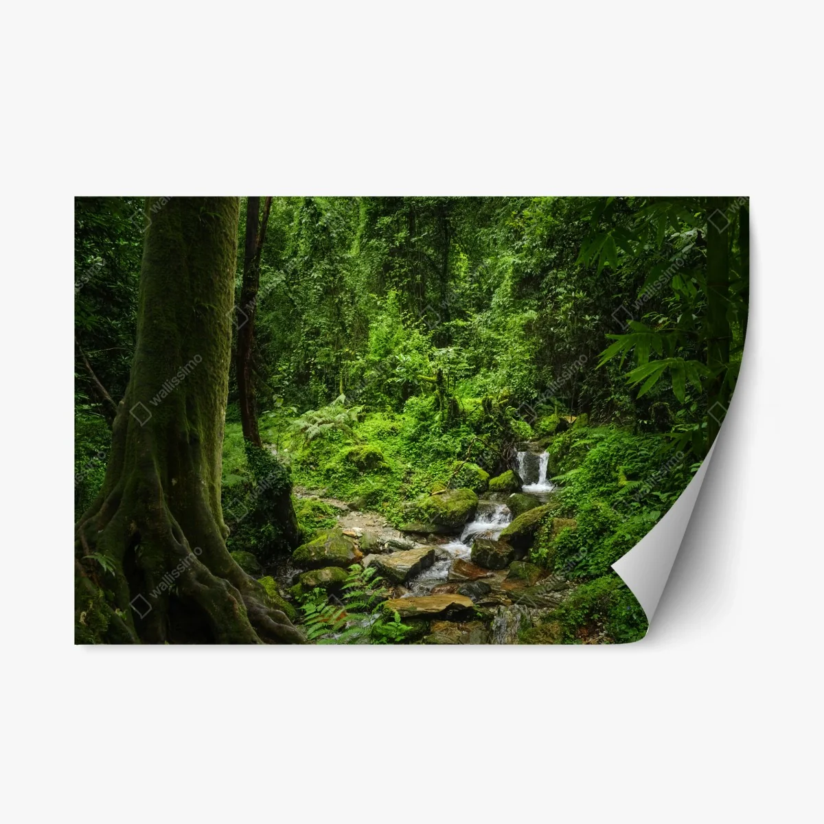 Repositionierbarer Aufkleber üppiger grüner waldwasserfall – Wallnifity® Repositionierbarer Aufkleber üppiger grüner waldwasserfall – Wallnifity®