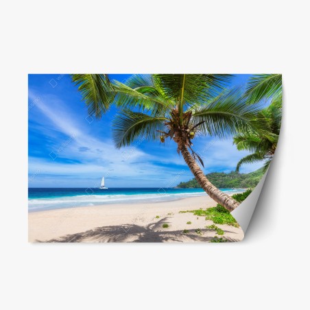Repositionierbarer Aufkleber tropischer strand mit palme – Wallnifity®