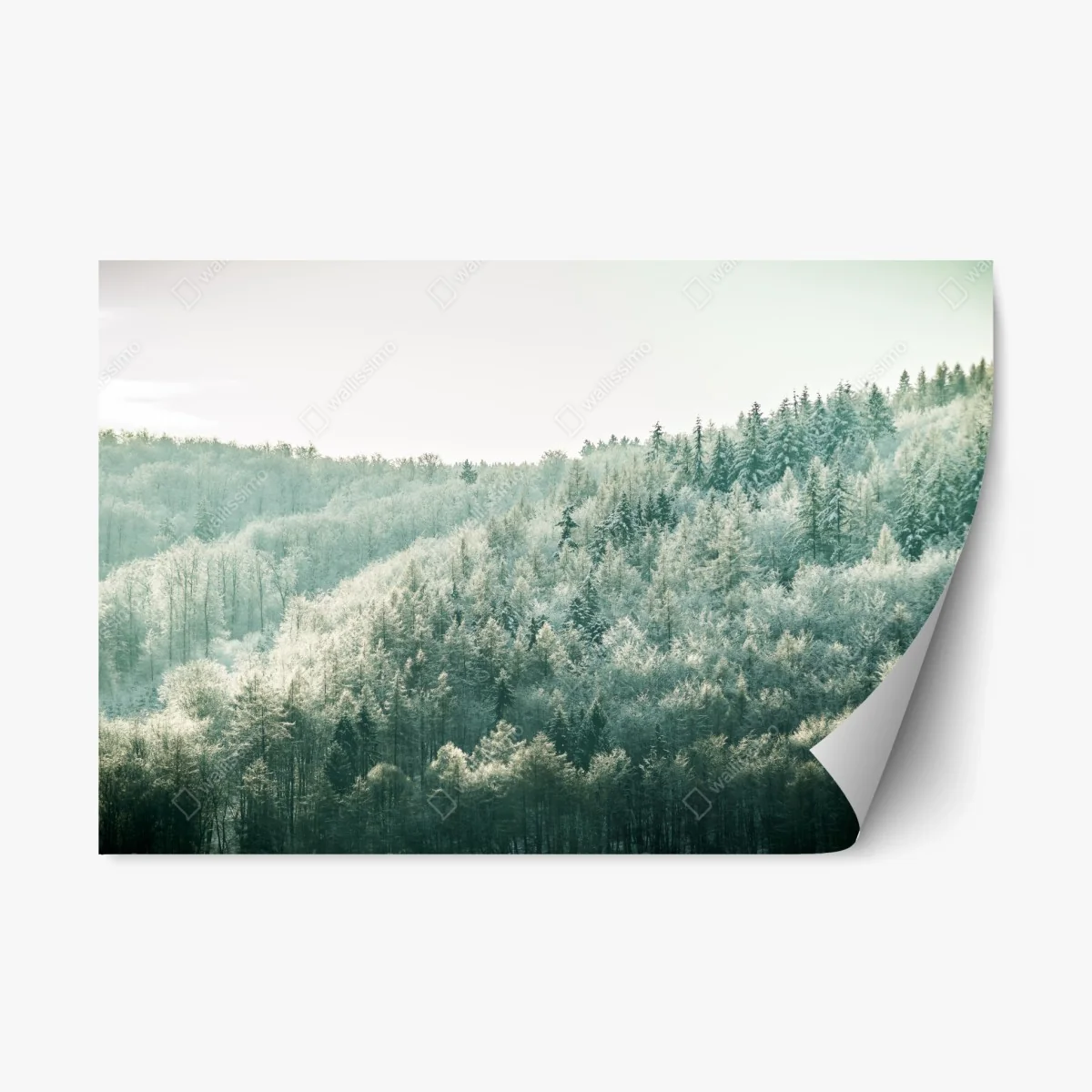 Repositionierbarer Aufkleber nebliger reifbedeckter wald – Wallnifity® Repositionierbarer Aufkleber nebliger reifbedeckter wald – Wallnifity®