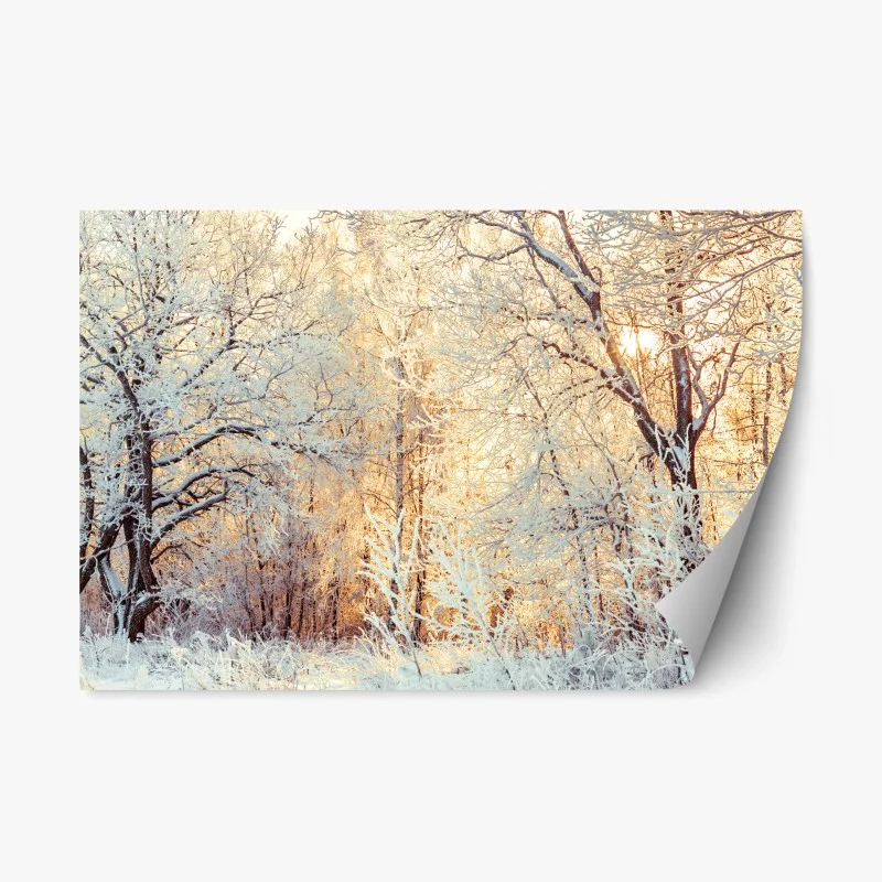 Natur – Wallnifity®