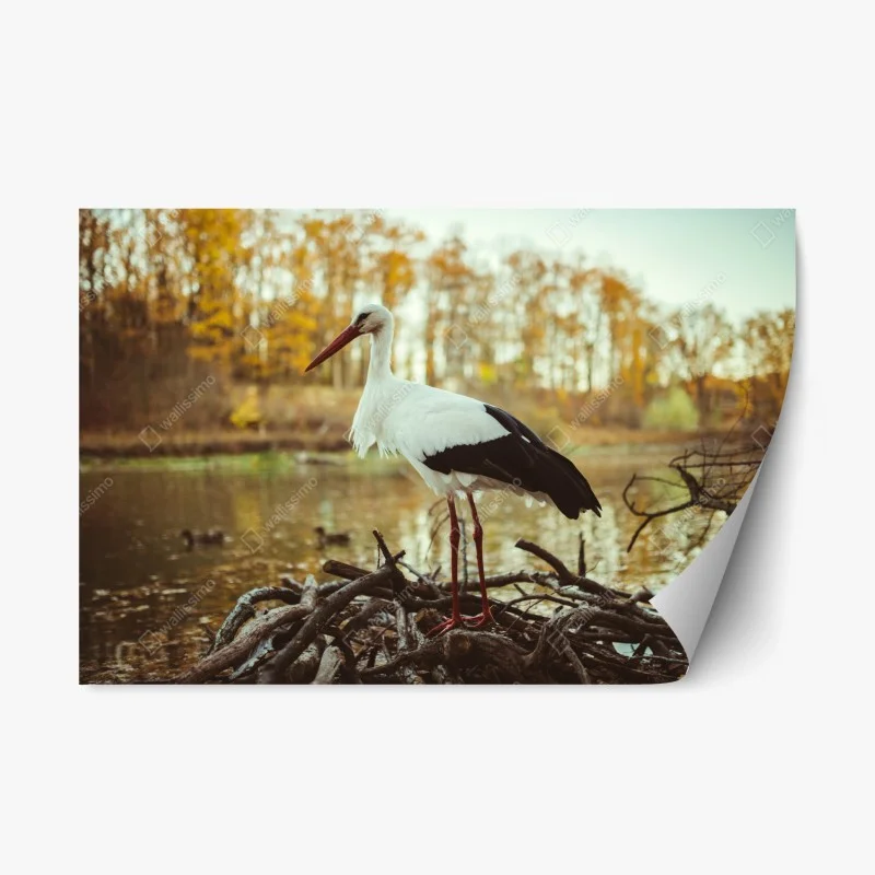Repositionierbarer Aufkleber weißer storch am herbstlichen see