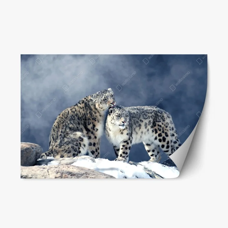 Tiere – Wallnifity®