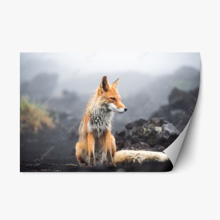 Repositionierbarer Aufkleber roter fuchs in nebliger landschaft – Wallnifity®