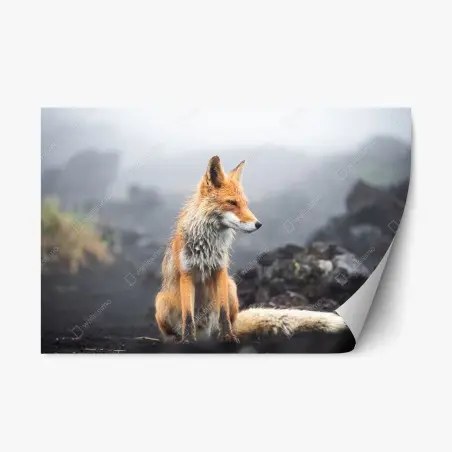 Repositionierbarer Aufkleber roter fuchs in nebliger landschaft – Wallnifity®