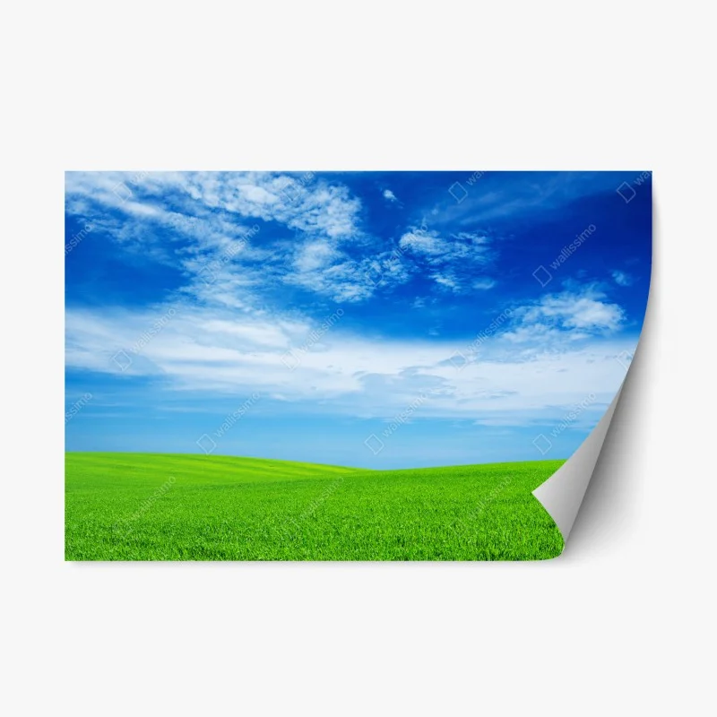 Repositionierbarer Aufkleber grüne wiese unter blauem himmel – Wallnifity®