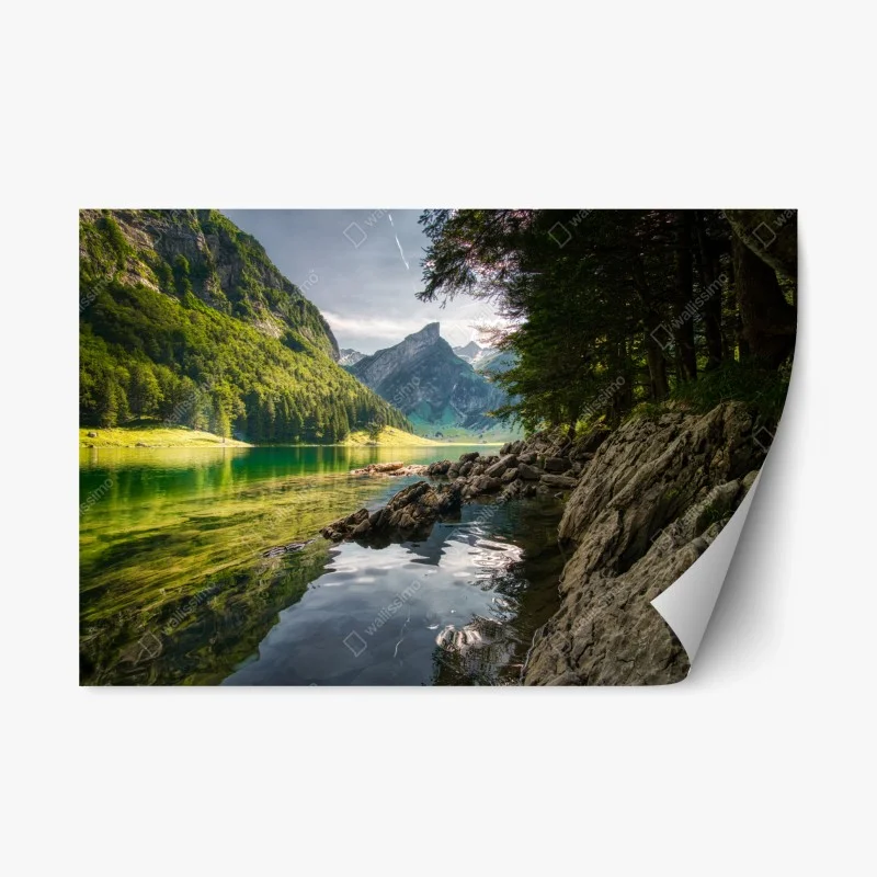Repositionierbarer Aufkleber ruhiger bergsee mit spiegelungen im wald