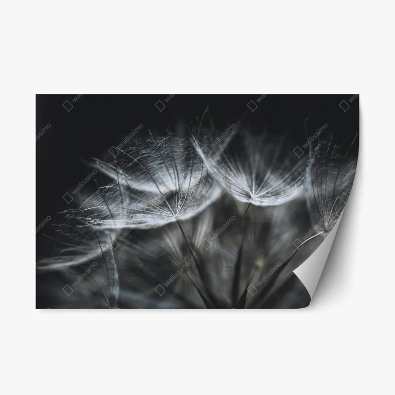 Schlafzimmer – Wallnifity®