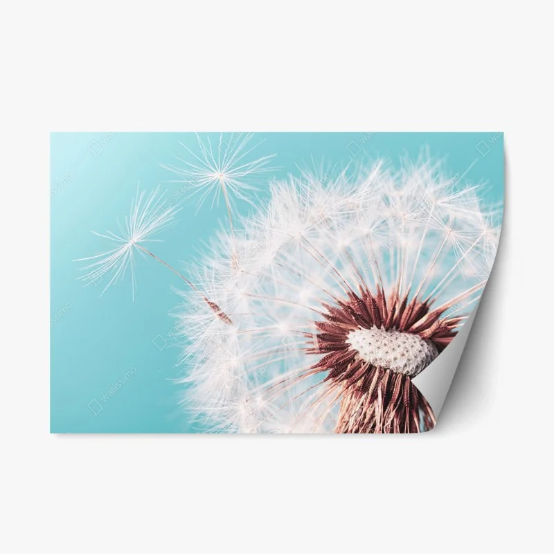Blumen & Pflanzen – Wallnifity®